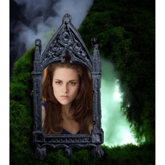 Bella Swan Magnet Twilight New Moon Eclipse Vampire Cullens Werewolf Romance - Picture 2 of 3